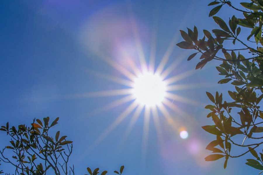 布新智能手环充电器快开元棋牌科技企业发